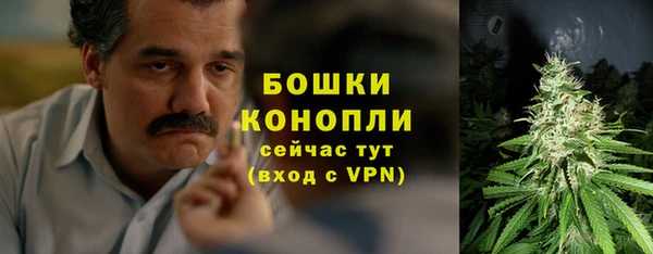 прущие грибы Медногорск