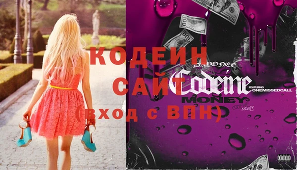 прущие грибы Медногорск