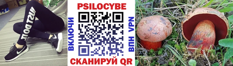 Псилоцибиновые грибы мухоморы  дарнет шоп  Торопец 